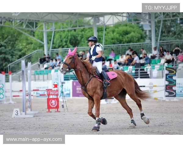 马术场地新铺沙料获国际认证，比赛更安全平稳