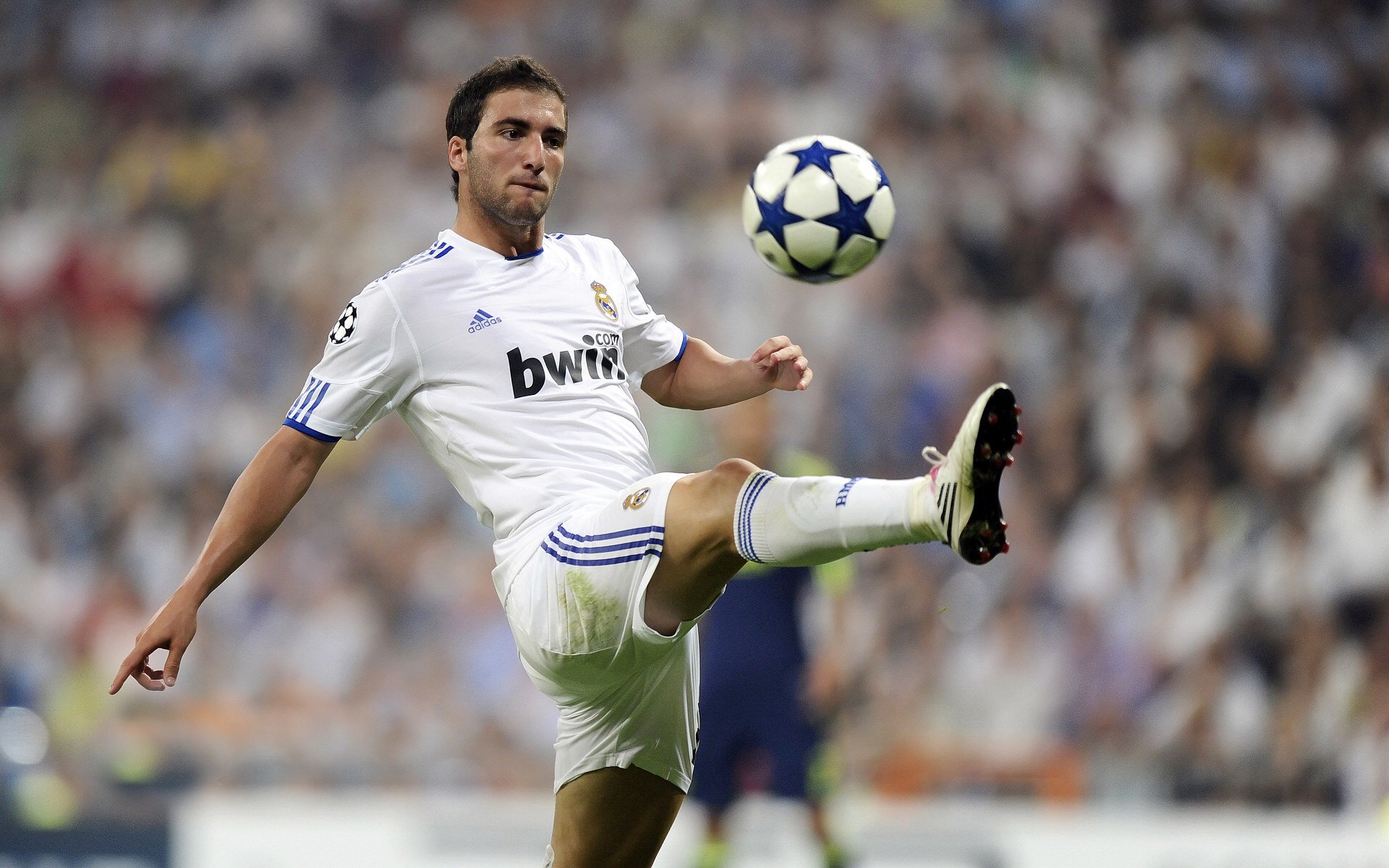 “未来青训”项目精细化发展目标逐步实现,行业迈入高质量发展新阶段